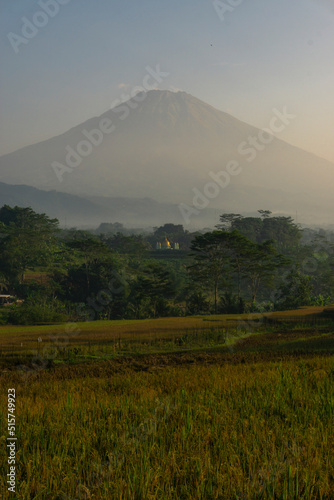 Mosque with golden dome in the middle of rice field and mountain on the background. Kajoran rice field, Central Java, Indonesia
