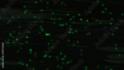 Wallpaper Mural 清流と蛍、光のダンス Torontodigital.ca