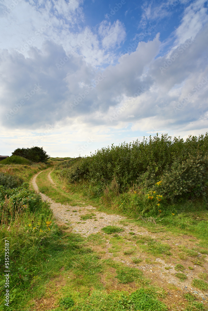 Landscape view of a dirt road road in a countryside leading to lush green meadow and field in Germany. Travel to remote, serene land or area. Quiet scenery with trees, bushes, shrubs, lawn and grass