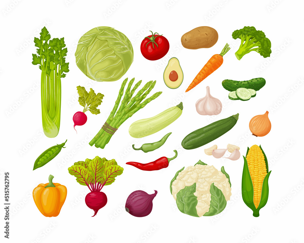 Vegetables set. A large collection of vegetables, such as celery, cabbage, tomatoes, potatoes,carrots,cucumbers, garlic, zucchini and also pepper, beets, onions and corn. Vegetarian products. Vegetables set. A large collection of vegetables, such as celery, cabbage, tomatoes, potatoes,carrots,cucumbers, garlic, zucchini and also pepper, beets, onions and corn. Vegetarian products.