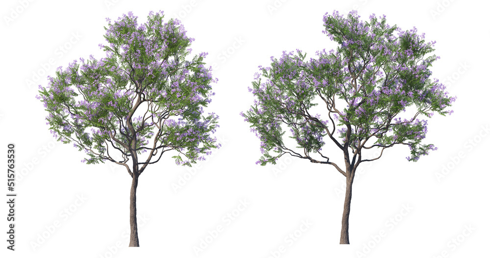 Obraz premium Tree with flowers on a white background