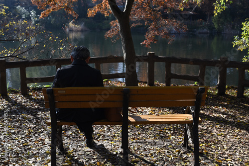 person sitting on a bench