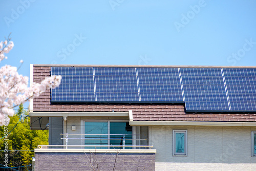 桜の花とソーラーパネルのある家　太陽光　発電　エコシステム