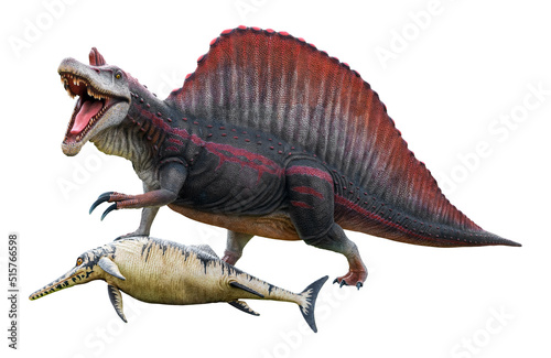 Oxalaia is a carnivore genus of Spinosaurid theropod dinosaur that lived in the late Cretaceous period, Oxalaia hunting the Ophthalmosaurus isolated on white background with clipping path