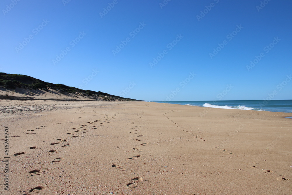 The Ninety Mile Beach near the town of Loch Sport, Central Gippsland, Victoria, Australia.