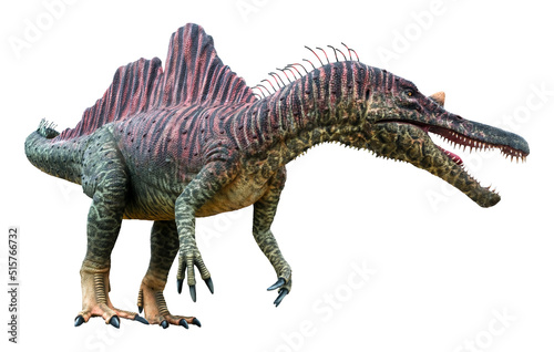 Ichthyovenator is a carnivore genus of Spinosaurid theropod dinosaur that lived during the Early Cretaceous  Ichthyovenator isolated on white background with clipping path