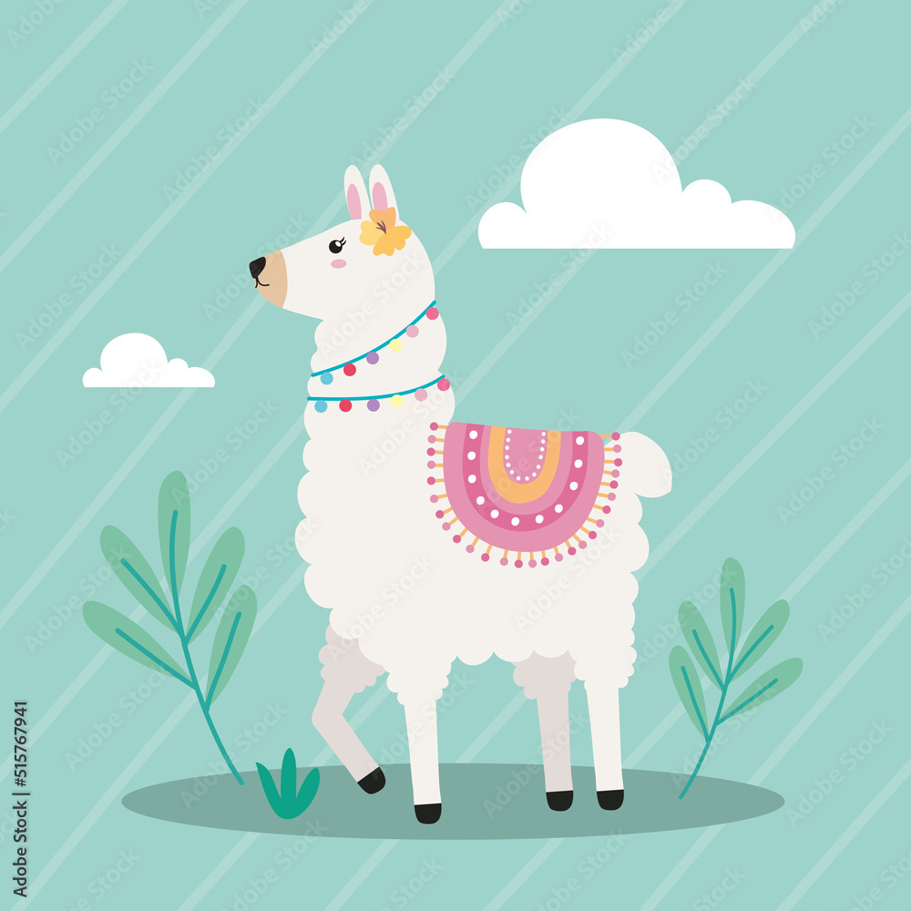sweet llama walking sweet llama walking