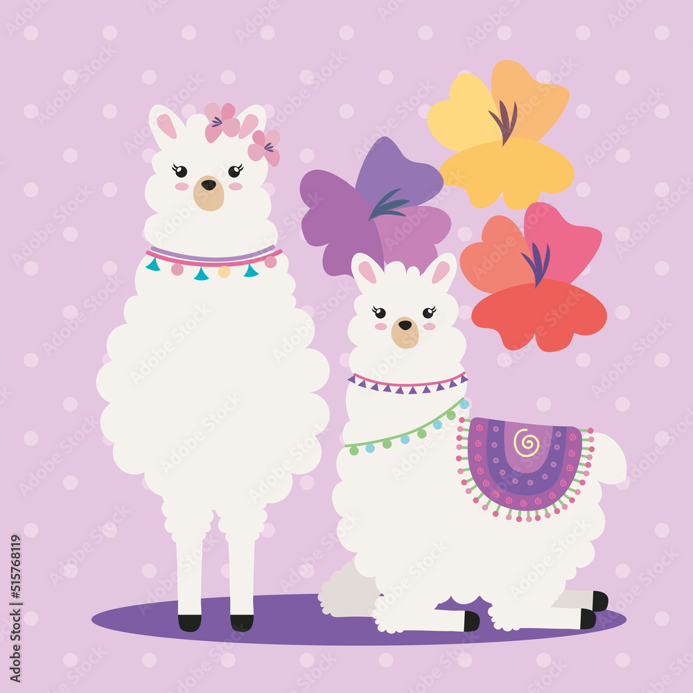 two llamas with flowers two llamas with flowers