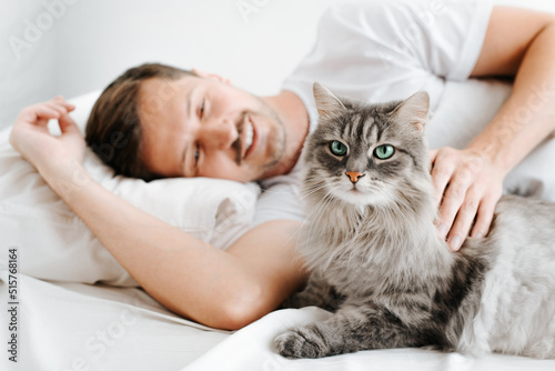 Fluffy gray cat resting together with smiling man on bed in bedroom in morning. Lying awakened guy stroking his pet, close-up. Selective focus on animal