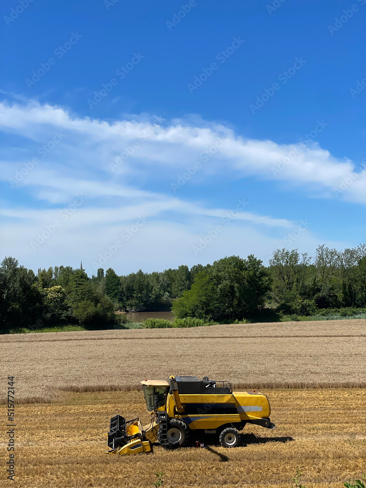 Obraz premium Combine harvester harvests ripe wheat, agriculture., France, High quality photo