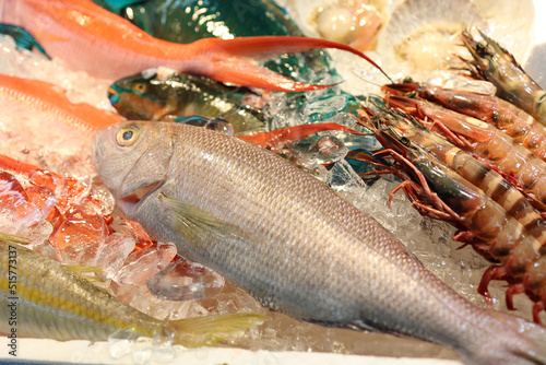 新鮮な魚が並んでる魚市場