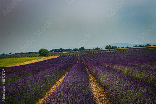 Paysage du verdon  France