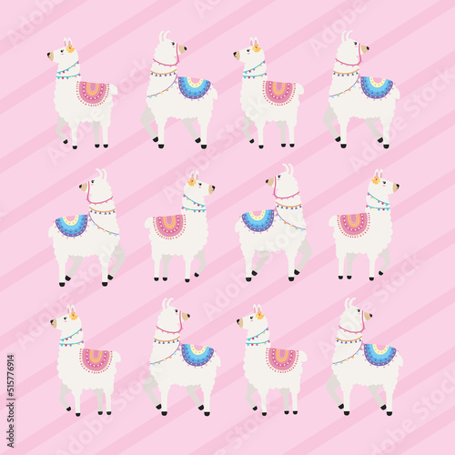 twelve llamas animals pattern