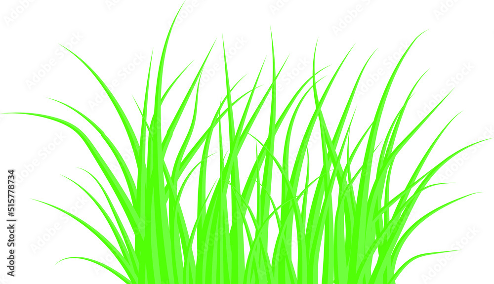 Fototapeta premium Green grass. The Bush grass. Vector illustration.