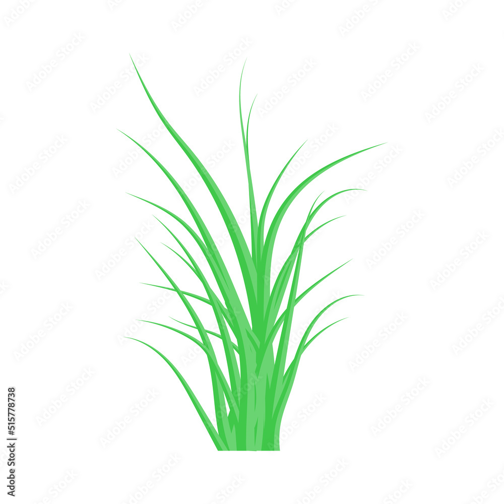 Green grass. The Bush grass. Vector illustration.