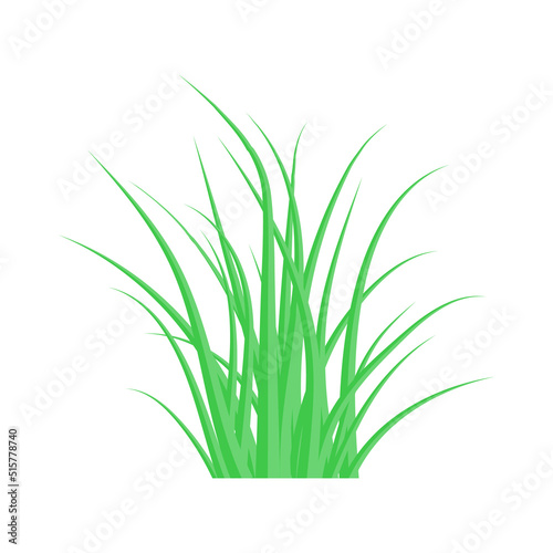 Green grass. The Bush grass. Vector illustration.
