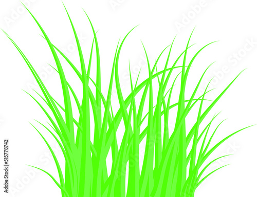 Green grass. The Bush grass. Vector illustration.