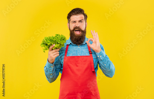 Winking man in apron showing OK holding fresh leaf lettuce yellow background, greengrocer
