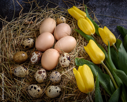 Chicken and quail eggs on straw
