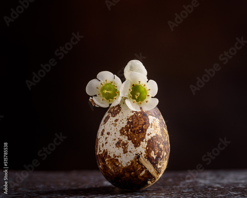 Quail egg with flowers close up