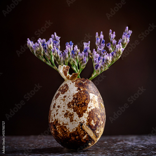 Broken quail egg with flowers