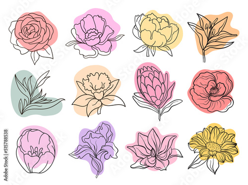 Vector one line black illustration graphics flowers set with colors stains.