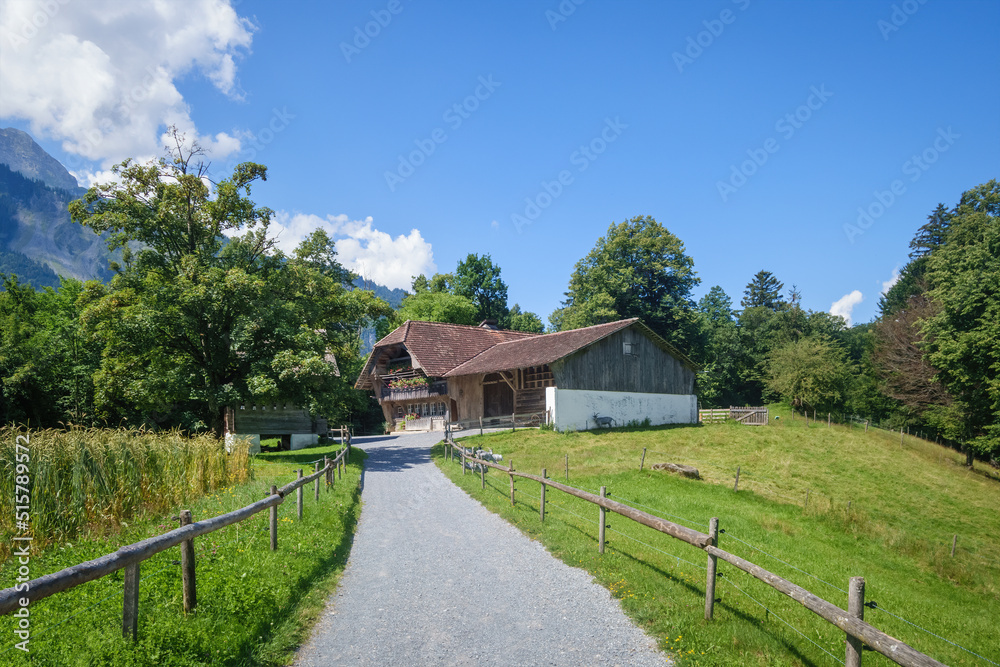 idyllic farmhouse in the swiss alps