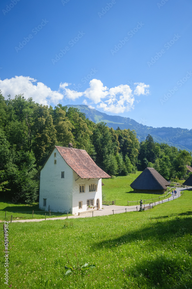 idyllic farmhouse in the swiss alps