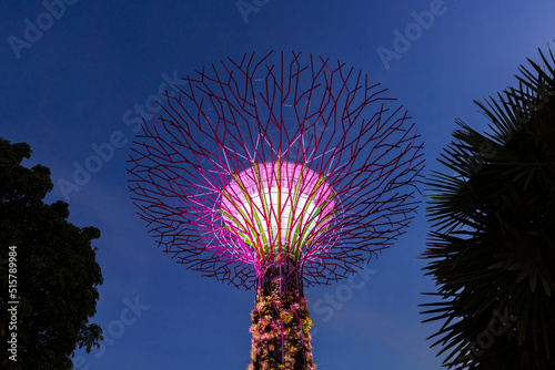 Supertree grove, Singapur