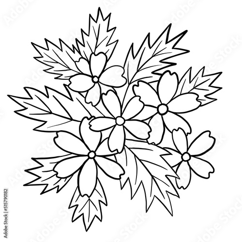 Hand drawn floral flower leaves illustration, black white elegant wedding ornament, Line art minimalism tatoo style design summer spring nature branch foliage blossom. © Marina Lahereva