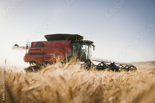 A harvester harvesting a ripe wheat crop in the Avon Valley of Western Australia photo