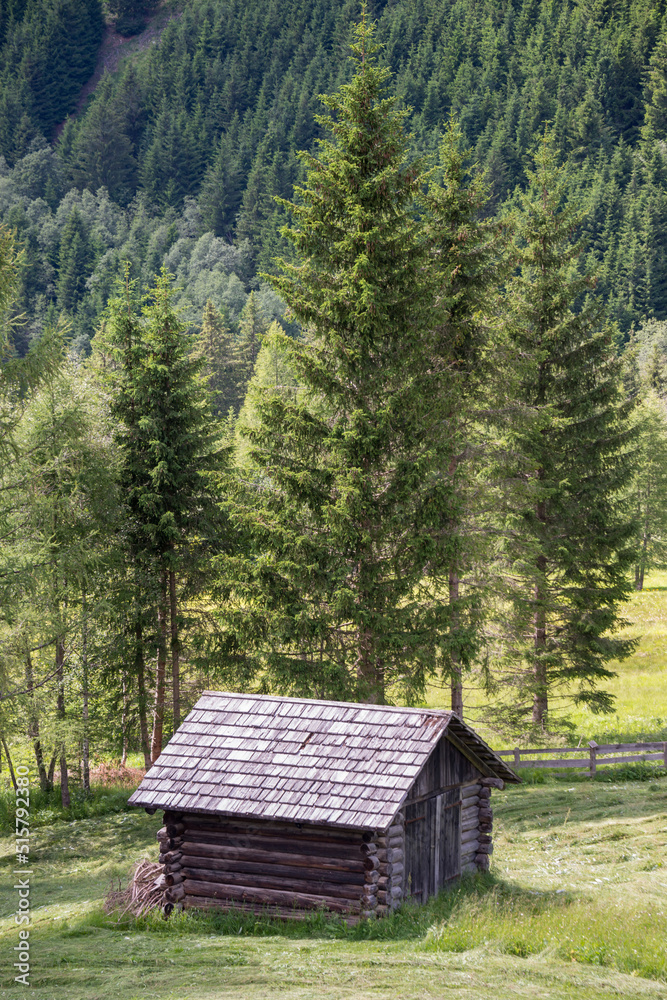 Cabaña de madera en los bosques de la región alpina de Anterselva en el norte de Italia