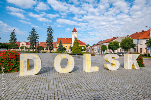 Town hall in Dolsk photo