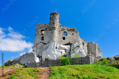 Ruins of 14th century castle located in the Mirow village, Silesian Voivodeship, Poland.