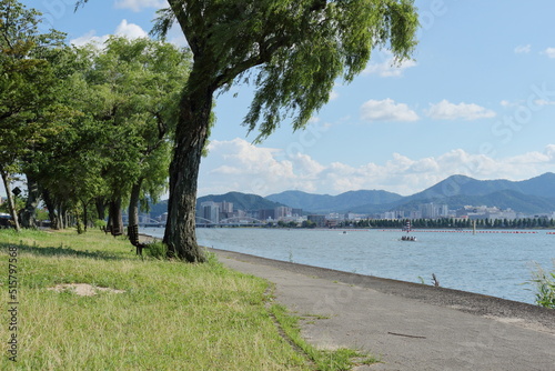 真夏の琵琶湖岸の風景