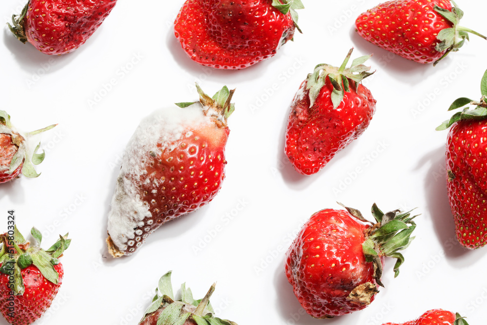 rotten strawberries on white background.global hunger problem. copy space. overconsumption, food waste concept. spoiled, dangerous food. - obrazy, fototapety, plakaty 