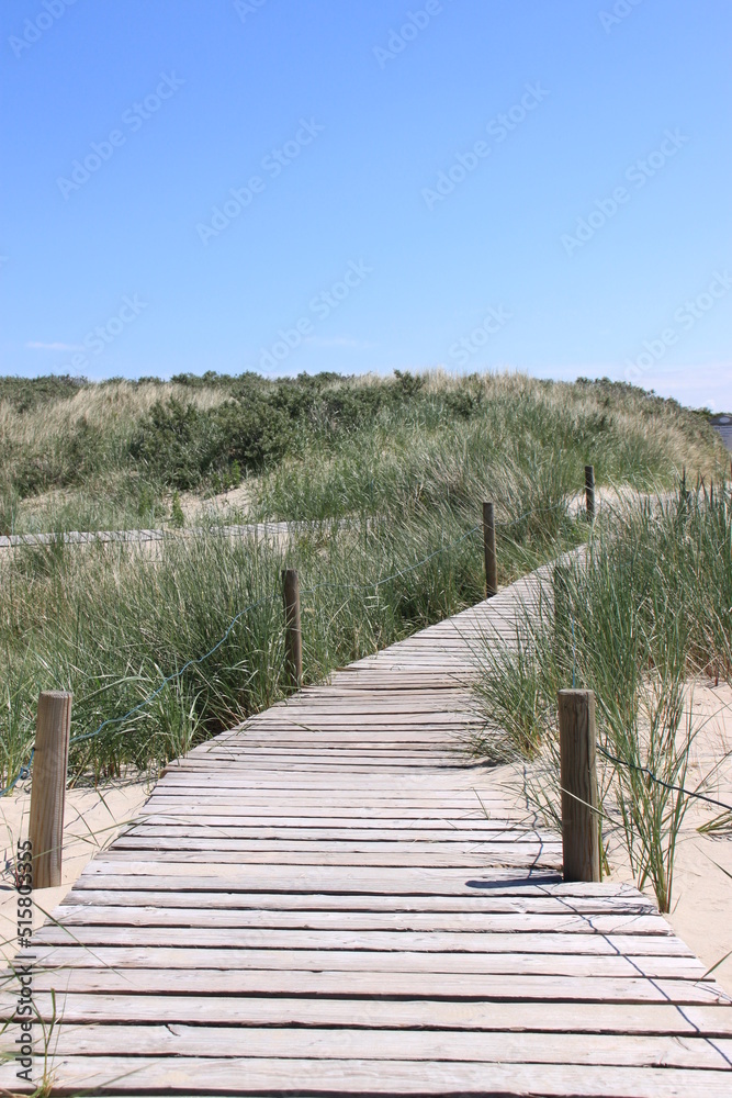 a wooden path leads through dunes to the sea lined with tufts of grass and poles