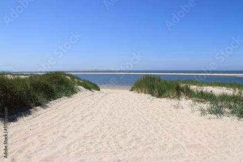 a sandy path leads through dunes to the sea lined with tufts of grass