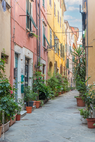 Fototapeta Naklejka Na Ścianę i Meble -  Glimpse of a Tuscan alley embellished with plants and flowers