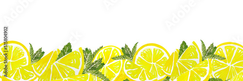 Watercolor citrus lemon slice set isolated for fruit design