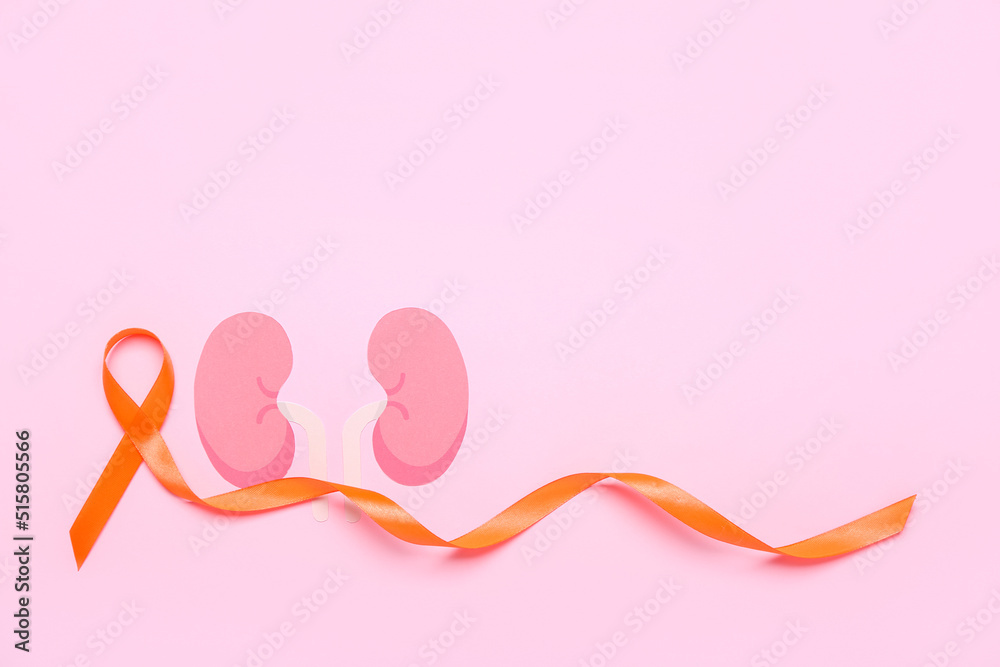 Orange awareness ribbon and paper kidneys on pink background Orange awareness ribbon and paper kidneys on pink background
