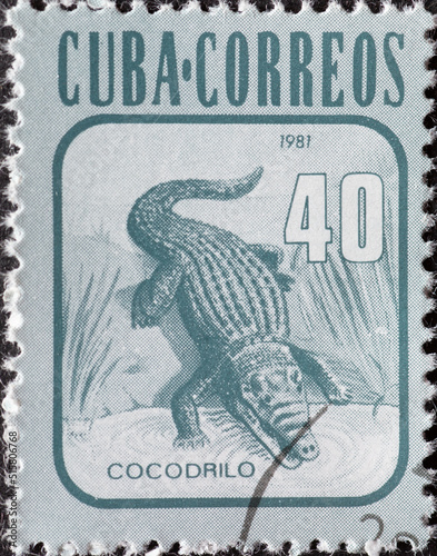 CUBA - CIRCA 1981: a postage stamp from CUBA , showing a Cuban Crocodile (Crocodylus rhombifer) . Circa 1981 photo