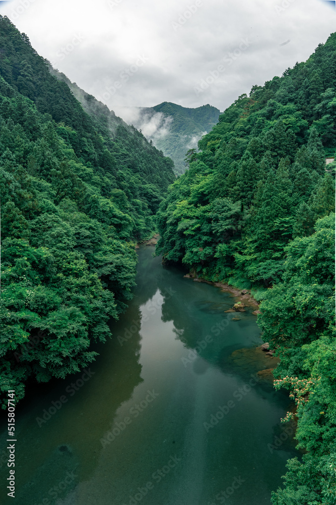 River with mountain mist weather day in the forest of Japan. Summer season green tree with the deep river mountain range. Nature background cloudy day in the morning. 