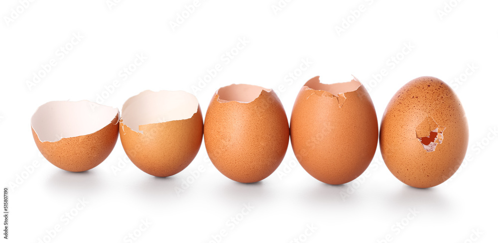 Composition with egg shells on white background Composition with egg shells on white background