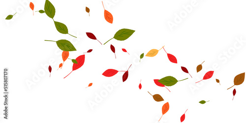 Fototapeta Naklejka Na Ścianę i Meble -  Leaves. Yellow, red, green, orange, brown colors. Scattered autumn leaves. Unusual abstract texture. Vector eps 10.