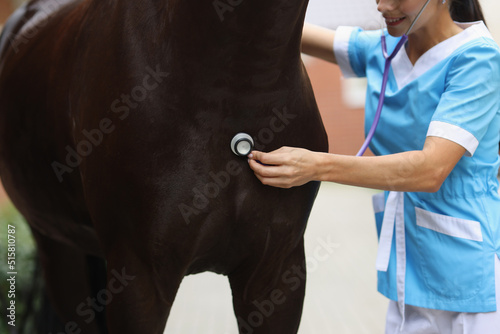 Woman veterinarian examining horse with medical stethoscope