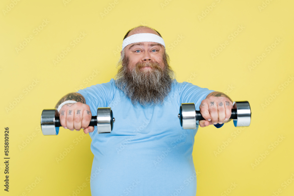 chubby and bearded man working out with dumbbells and smiling at camera isolated on yellow. chubby and bearded man working out with dumbbells and smiling at camera isolated on yellow.