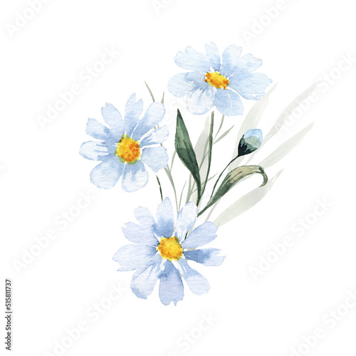 Wildflowers. Watercolor bouquet. Decoration for your design.