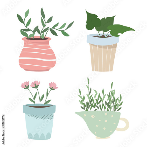 Home plants in flower pot. Houseplants isolated. Trendy hygge style. Hand drawn. Set collection. Print, poster, banner. Logo, label. Vector.