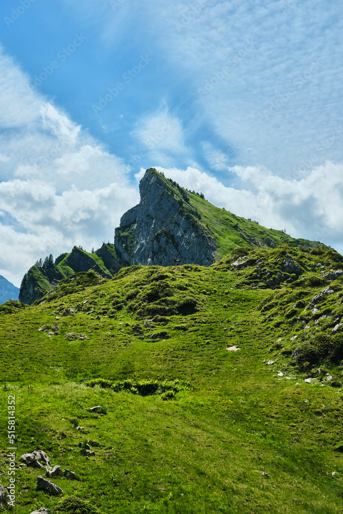 landscape with sky